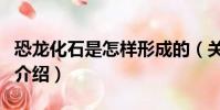 恐龍化石是怎樣形成的(關于恐龍化石形成的介紹)