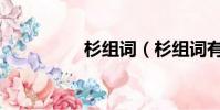杉組詞(杉組詞有哪些)