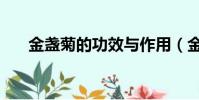 金盞菊的功效與作用(金盞菊的功效)