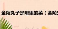 金陵丸子是哪里的菜(金陵丸子屬于什么菜)