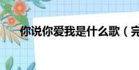 你說你愛我是什么歌(完整歌詞介紹)