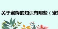 關于蜜蜂的知識有哪些(蜜蜂知識了解一下)