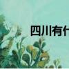 四川有什么特產（四川十大特產）
