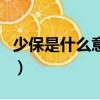 少保是什么意思（少保一職是什么時候設立的）