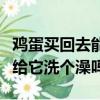 雞蛋買回去能洗嗎（雞蛋買回去后能干干凈凈給它洗個澡嗎）