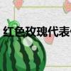 紅色玫瑰代表什么意思（紅色玫瑰代表含義）