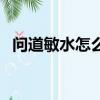 問道敏水怎么加點（問道敏水的加點方法）