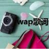 wap歌詞中文翻譯（wap中文歌詞）