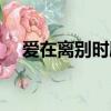 愛在離別時劇情介紹（愛在離別時簡介）