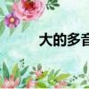 大的多音字（大的多音字有哪些）