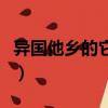 異國他鄉的它字意思是什么（異國他鄉的意思）