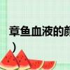 章魚血液的顏色是什么（章魚血液的顏色介紹）