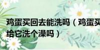 雞蛋買回去能洗嗎(雞蛋買回去后能干干凈凈給它洗個澡嗎)