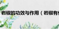 巖椒的功效與作用(巖椒有什么功效與作用)
