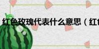 紅色玫瑰代表什么意思(紅色玫瑰代表含義)