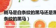 斑馬是白條紋的黑馬還是黑條紋的白馬(是白條紋的黑馬)