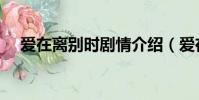 愛在離別時劇情介紹(愛在離別時簡介)