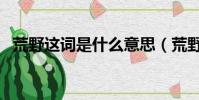 荒野這詞是什么意思(荒野的意思是什么)