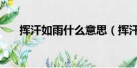 揮汗如雨什么意思(揮汗如雨的含義)