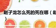 趙子龍怎么死的死在哪(趙云是哪一年去世的)