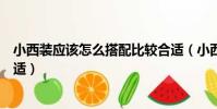 小西裝應該怎么搭配比較合適(小西裝應該如何搭配比較合適)