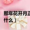 那年花開月正圓結局（那年花開月正圓結局是什么）