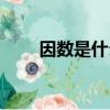 因數是什么意思（到底什么是因數）