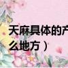 天麻具體的產地在哪里（天麻具體的產地在什么地方）