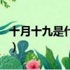 十月十九是什么星座（十月十九日的星座介紹）