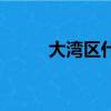 大灣區什么意思（什么是大灣區）