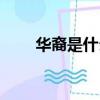 華裔是什么（關于華裔的意思介紹）