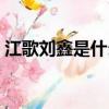 江歌劉鑫是什么案子（劉鑫江歌是什么案子）
