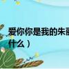 愛你你是我的朱麗葉是什么歌（愛你你是我的朱麗葉歌名是什么）