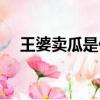 王婆賣瓜是什么意思（王婆賣瓜指什么）