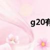 g20有哪些國家（G20簡介）