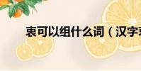 衷可以組什么詞(漢字衷怎么組詞)