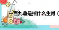 一言九鼎是指什么生肖(生肖的簡介)