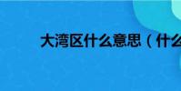大灣區什么意思(什么是大灣區)