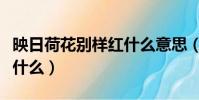 映日荷花別樣紅什么意思(映日荷花別樣紅指什么)