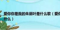 愛你你是我的朱麗葉是什么歌(愛你你是我的朱麗葉歌名是什么)