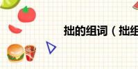 拙的組詞(拙組詞)
