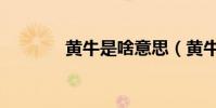 黃牛是啥意思(黃牛的解釋)