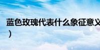 藍色玫瑰代表什么象征意義(藍色玫瑰的意義)