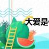 大愛是什么意思（大愛的含義）