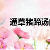 通草豬蹄湯的做法（通草豬蹄湯怎么做）