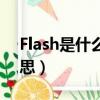 Flash是什么意思中文（英語Flash是什么意思）