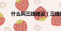什么叫三線建設(三線建設的解釋)