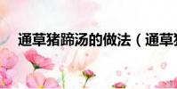 通草豬蹄湯的做法(通草豬蹄湯怎么做)
