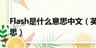 Flash是什么意思中文(英語Flash是什么意思)