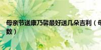 母親節送康乃馨最好送幾朵吉利(母親節送康乃馨最好的支數)